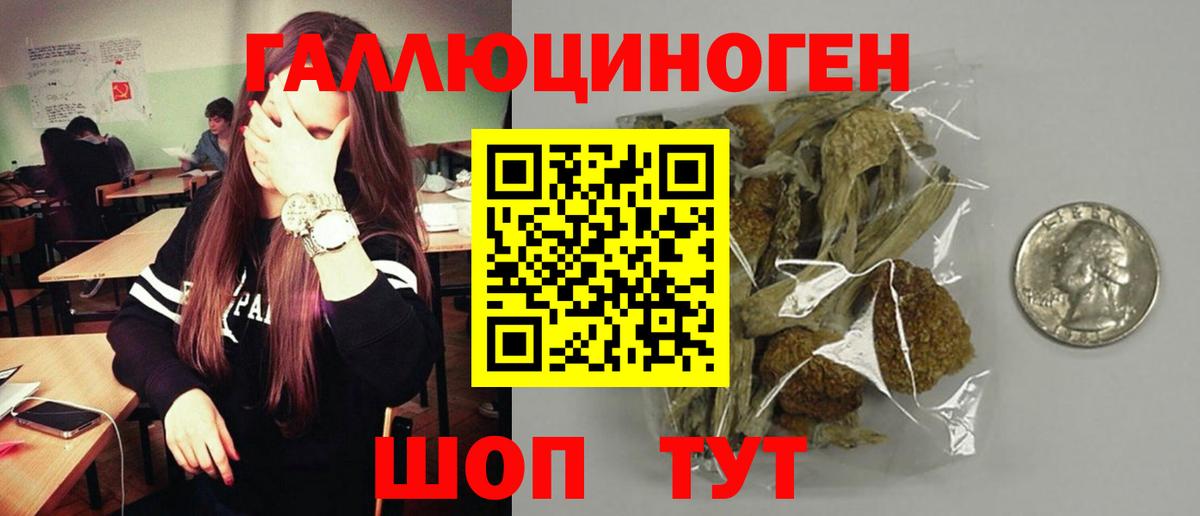 Галлюциногенные грибы мухоморы Камень-на-Оби