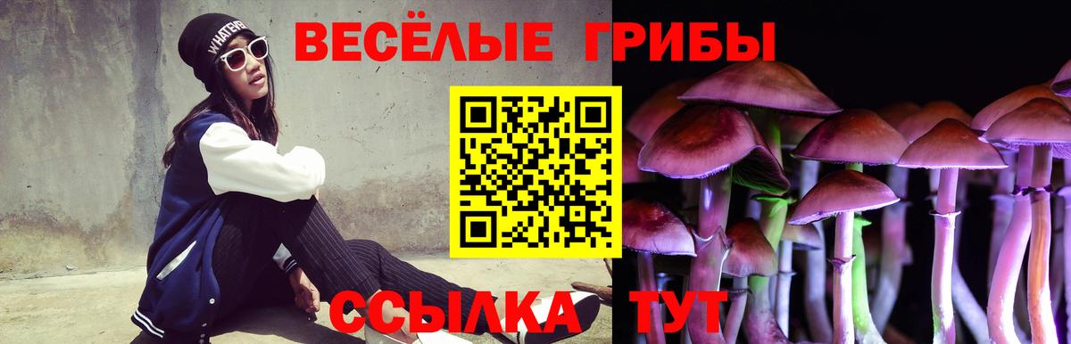 Камень-на-Оби  Галлюциногенные грибы прущие грибы  где купить наркоту  Вход с VPN 